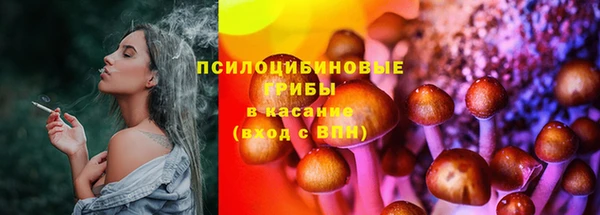 не бодяженный Гусиноозёрск