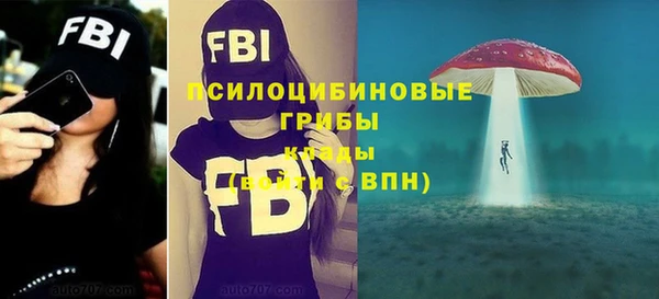 метамфетамин Гусь-Хрустальный