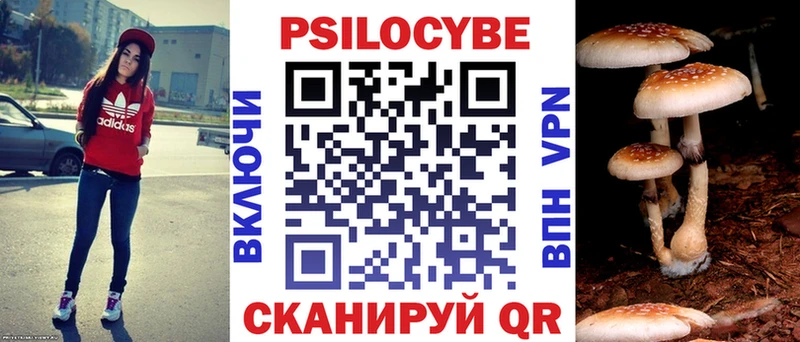 Купить  Кунгур  Галлюциногенные грибы Magic Shrooms 